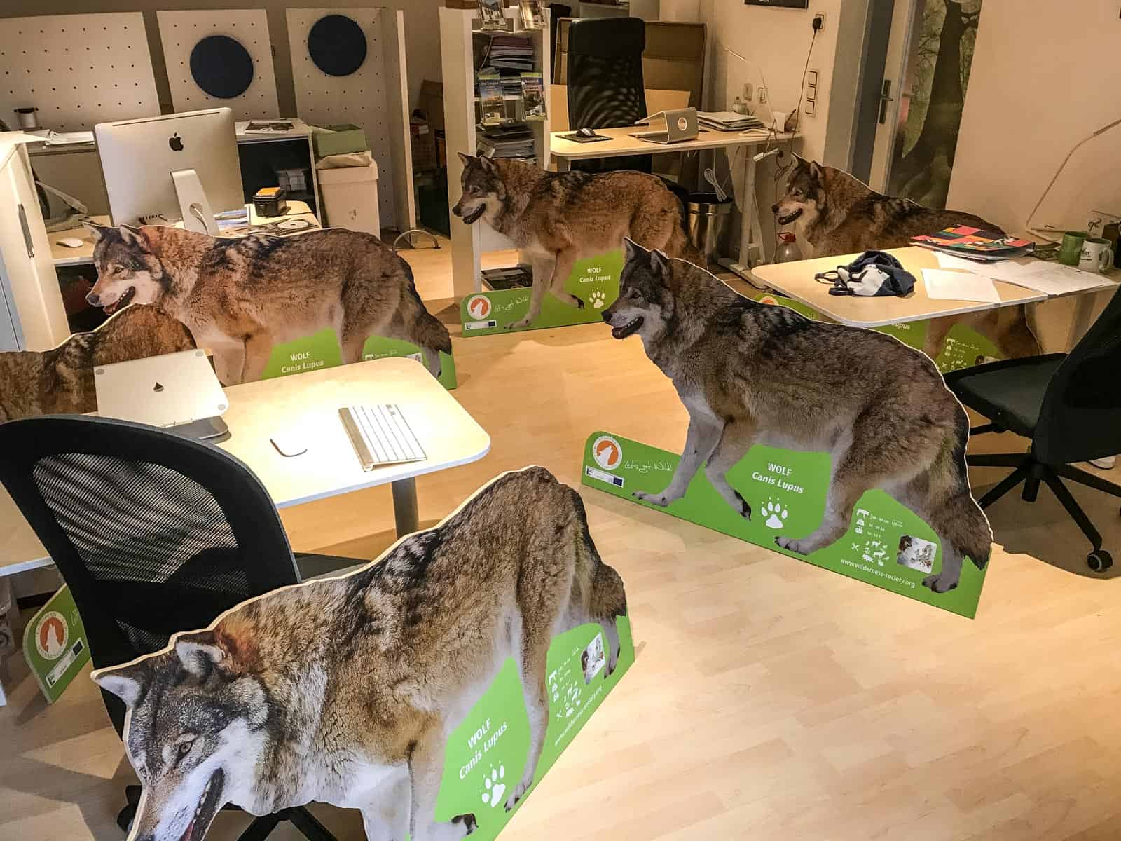 Tamsweg Office 0007.JPG